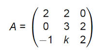 matrices cáculo del rango por determinantes