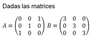 matrices ecuaciones ejercicios resueltos