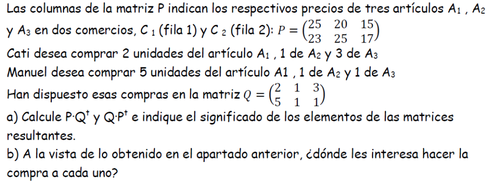 problema resuelto de matrices con enunciado con cotexto 